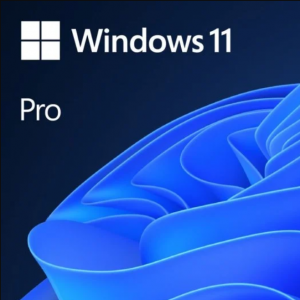 Microsoft Windows 11 Pro 64 bits